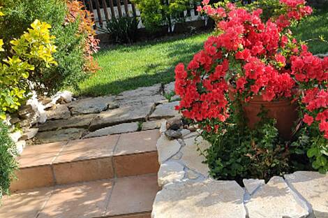 Копер Марковец: дом с террасой: 21