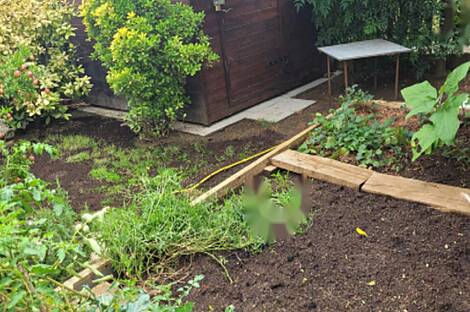 Копер Марковец: дом с террасой: 25