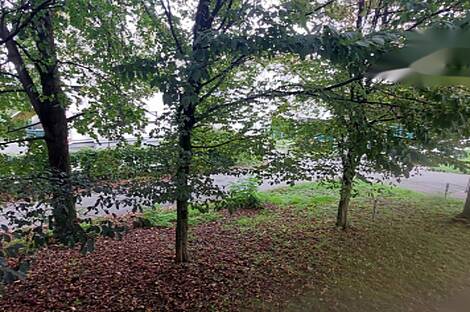 Квартира в Вевче с тремя комнатами.: 17