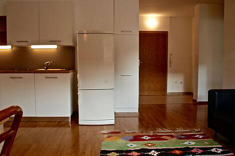 Двухкомнатная квартира полтора Шишка: 3