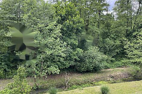 Жилая площадь с одной с половиной комнатой на Горицкой улице: 13