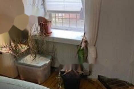 Четырёхкомнатная квартира, Роштна Долина: 14