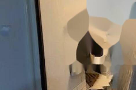 Четырёхкомнатная квартира, Роштна Долина: 15