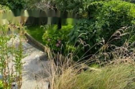 Четырёхкомнатная квартира, Роштна Долина: 19