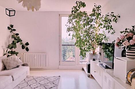 Квартира с двумя комнатами в Трново: 7