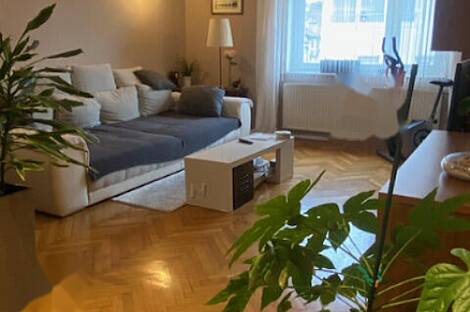 Квартира с тремя комнатами Шишка: 10