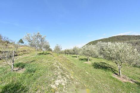 Двухэтажный дом в Долине Драгонье: 24