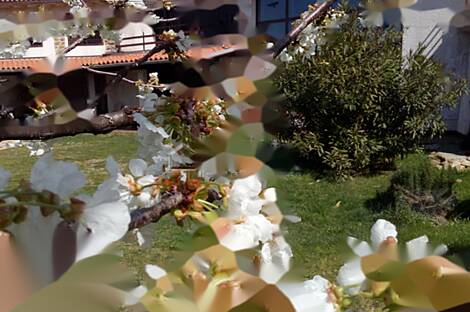 Жилище в Копере: 2