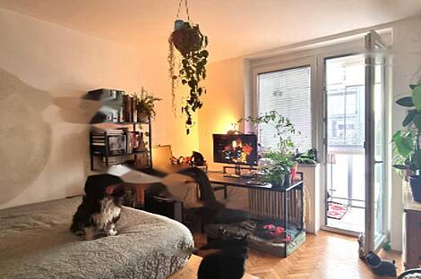 Квартира с одной комнатой Вич: 4