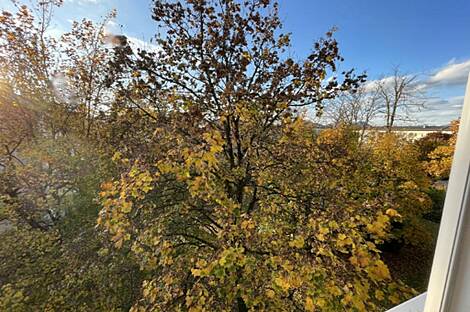 3-комнатная квартира в Лежриграде, включая гараж: 2