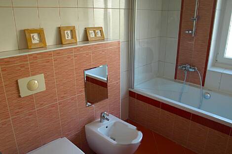 Трехкомнатная квартира в Любляне: 2