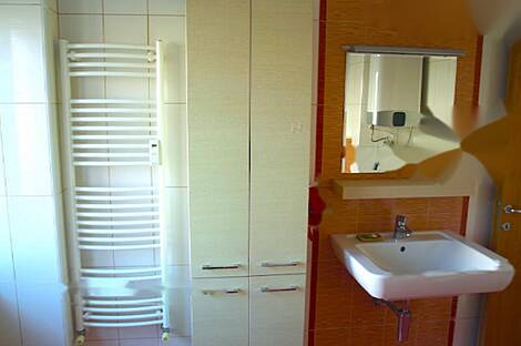 Трехкомнатная квартира в Любляне: 9