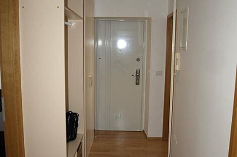 Трехкомнатная квартира в Любляне: 11