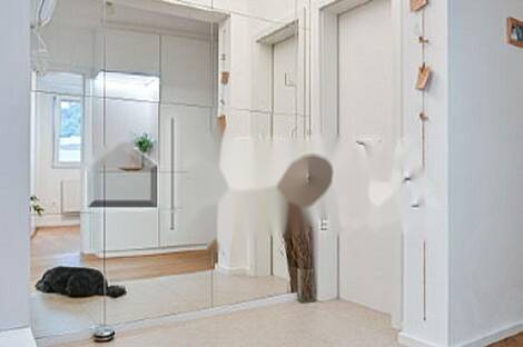 Новая квартира, 3,5 комнаты. Шишка.: 10