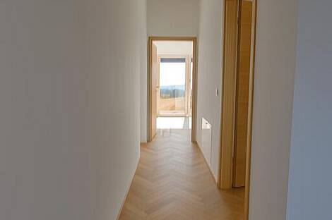 Жилье на улице Шентьякобе: 15