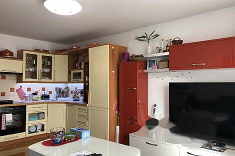 Полуторакомнатная квартира в Шентвиде: 4