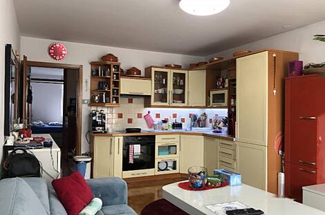 Полуторакомнатная квартира в Шентвиде: 8