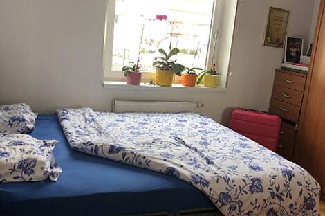 Полуторакомнатная квартира в Шентвиде: 13