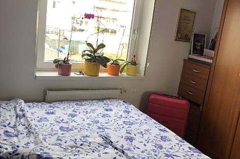 Полуторакомнатная квартира в Шентвиде: 15