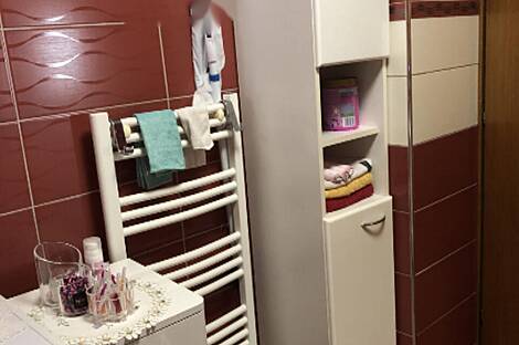 Полуторакомнатная квартира в Шентвиде: 17