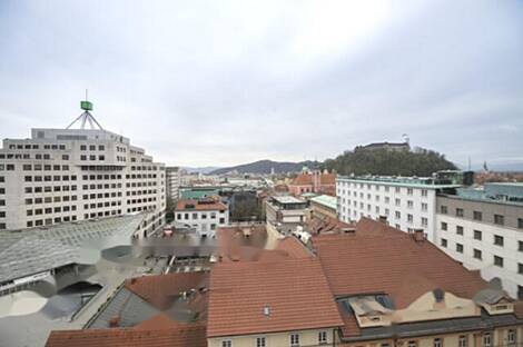 Трехкомнатный дом, Любляна, Центр: 5