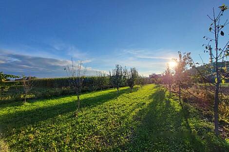 Дом, Любляна, Подгорица: 5