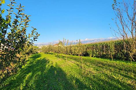 Дом, Любляна, Подгорица: 6