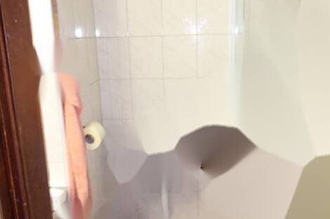 В Любляне в центре расположен дом с террасой: 14