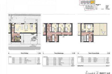 Шишкинский дом с террасой: 8