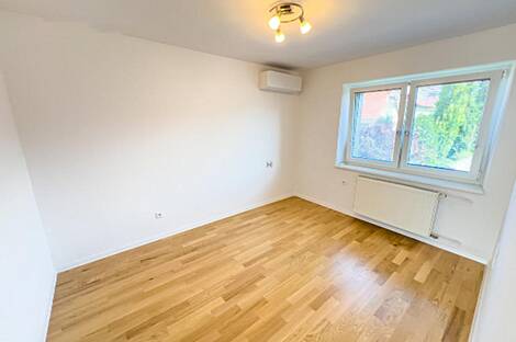 Здание в Любляне, Шишка: 13