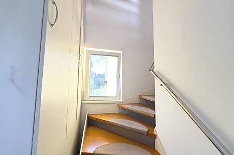 Здание в Любляне, Шишка: 19