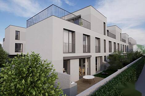 Шишка, центр культуры, это дом.: 9