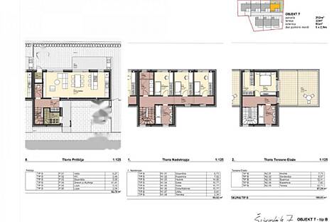 Дом с верандой, Шишка: 8