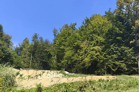 Здание возле лесной опушки: 2