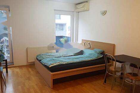 Апартаменты в сердце Любляны: 1