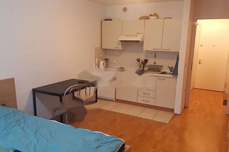 Апартаменты в сердце Любляны: 3