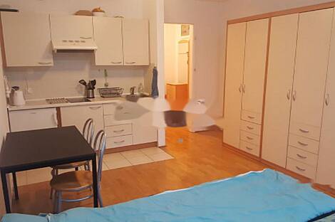 Апартаменты в сердце Любляны: 4