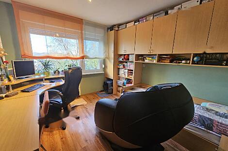 Трехкомнатная квартира, Моще: 10