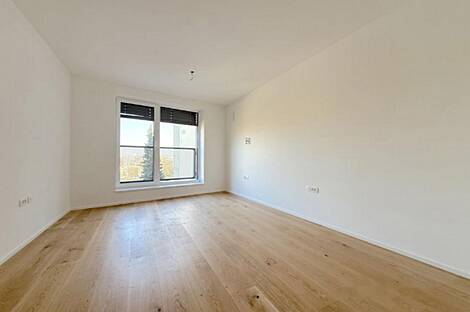 Четырёхкомнатная квартира на Новой Топничской: 11