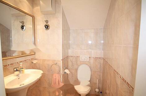 Многокомнатная квартира, расположенная в Мосте: 9