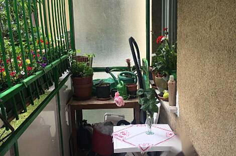 Квартира с тремя комнатами в районе Шишка: 12