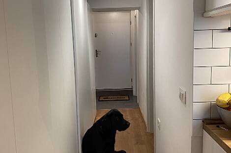 Квартира с тремя комнатами в Рожной Долине: 18