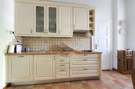 Трёхкомнатная квартира в центре Любляны: 1