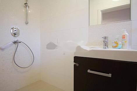 Дом-двойник Чрнуче: 5