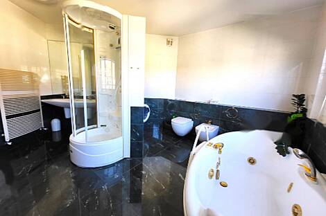 Апартаменты с 4-5 комнатами в центре Любляны.: 11