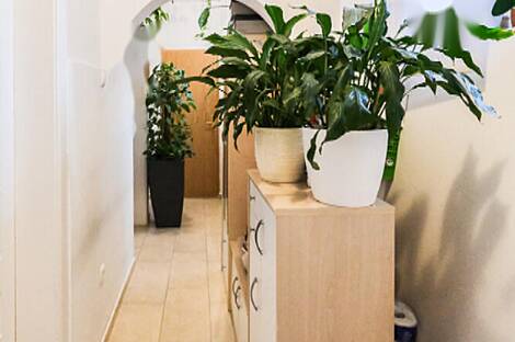 Двухкомнатная квартира в центре Любляны: 13