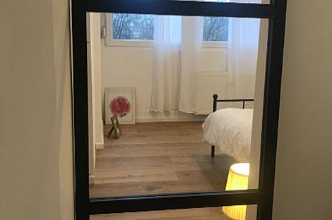 Трёхкомнатная квартира, расположенная в Штепанском Населье: 9