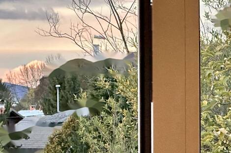 Многокомнатная квартира на Руднике: 4