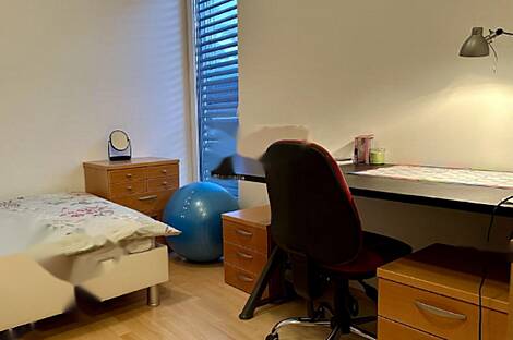 Многокомнатная квартира на Руднике: 13