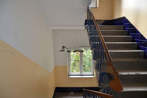 Трехкомнатная квартира в центре: 23